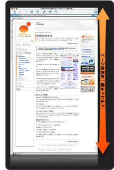 webscan capture